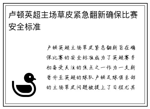 卢顿英超主场草皮紧急翻新确保比赛安全标准